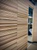 IMG_6837.jpeg